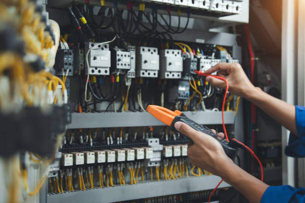 Best Electric Panel Repair  in South Congaree, SC